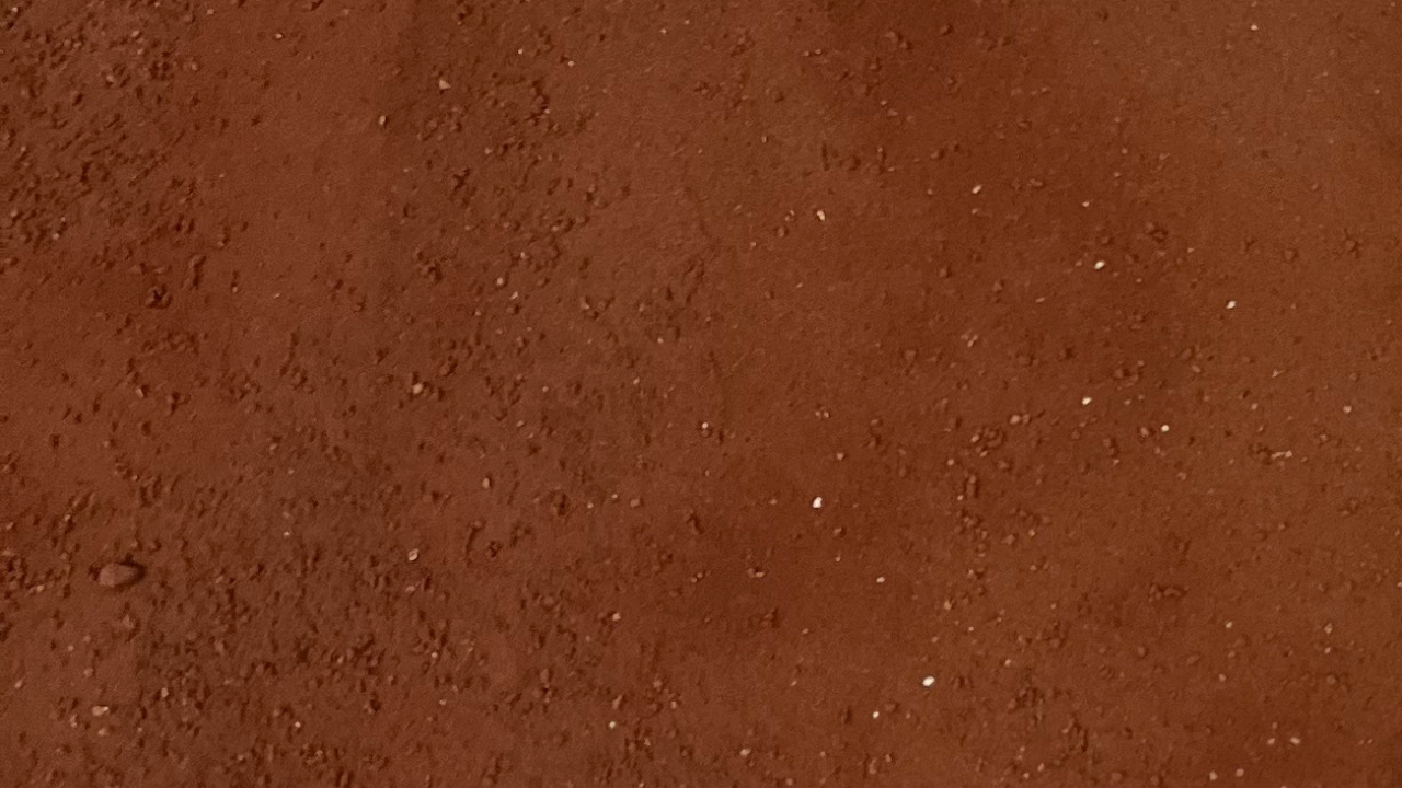 Classic tiramisu